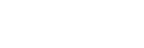 bm logo primary en pms (1)